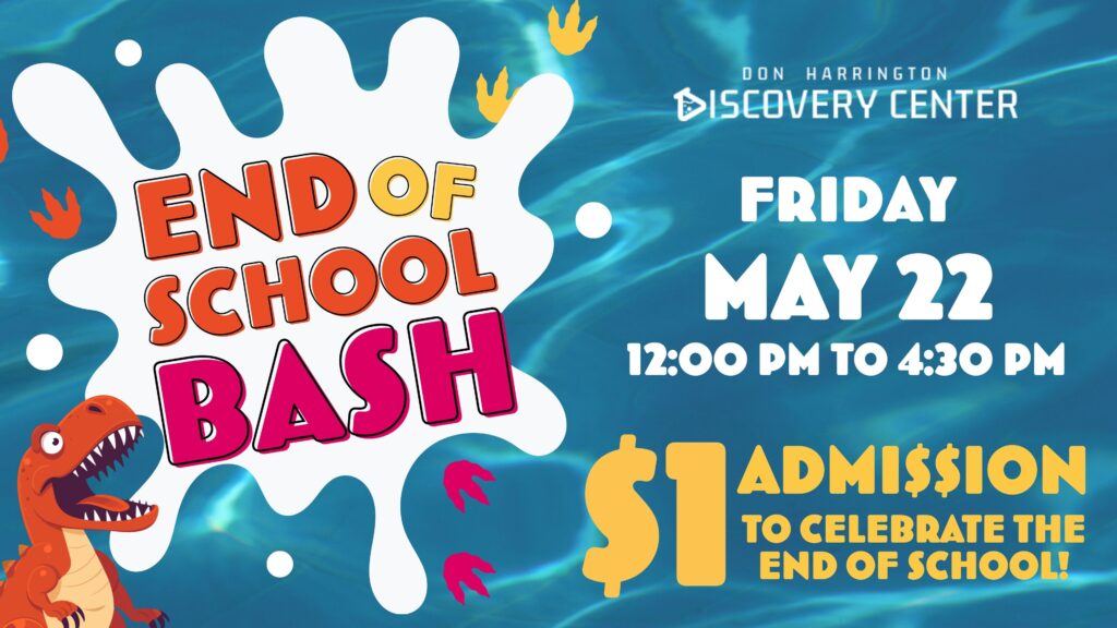End of School Bash